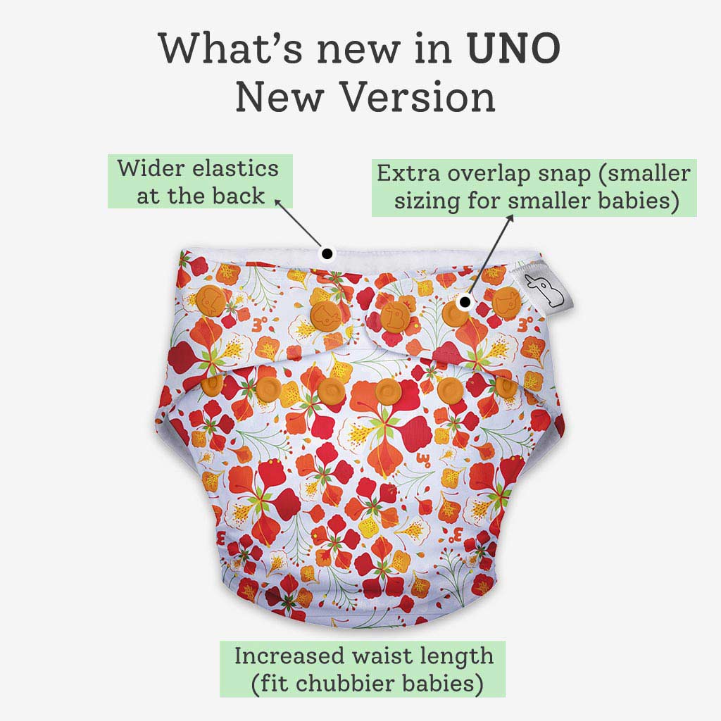 UNO Regular Cloth Diaper with only Dry Feel Pad (No Booster) - Gulmohar - Image 11