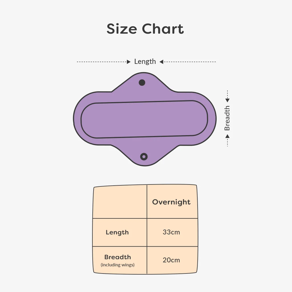 Pack of 8 (Overnight) - Image 8